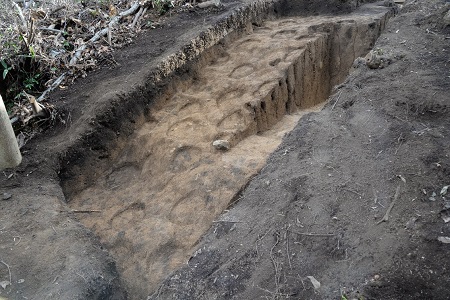 養郷狐谷遺跡のトレンチ4で見つかった土留めのための杭跡の写真です。杭跡の丸いくぼみが密集している様子の写真です。
